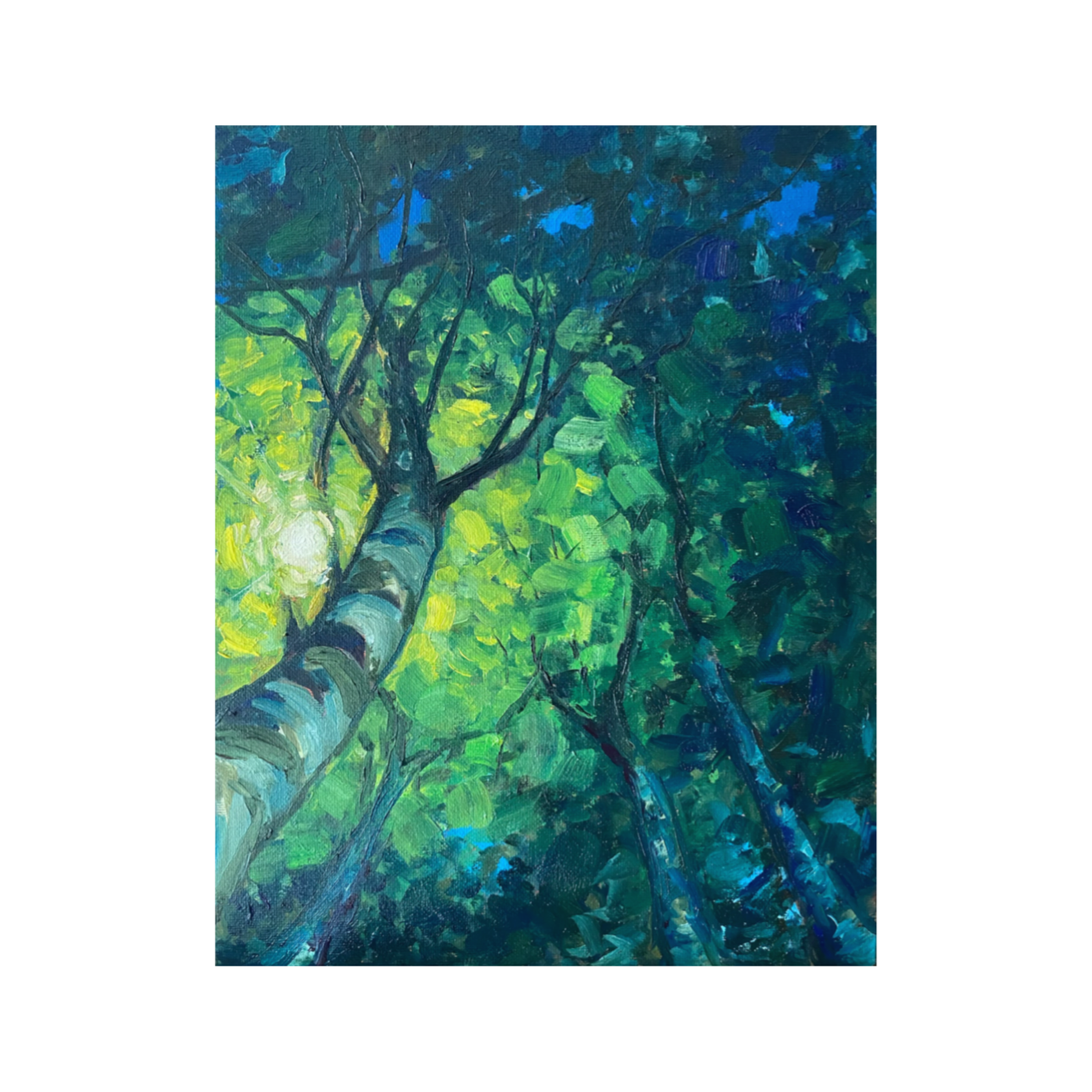 Trees in the Forest