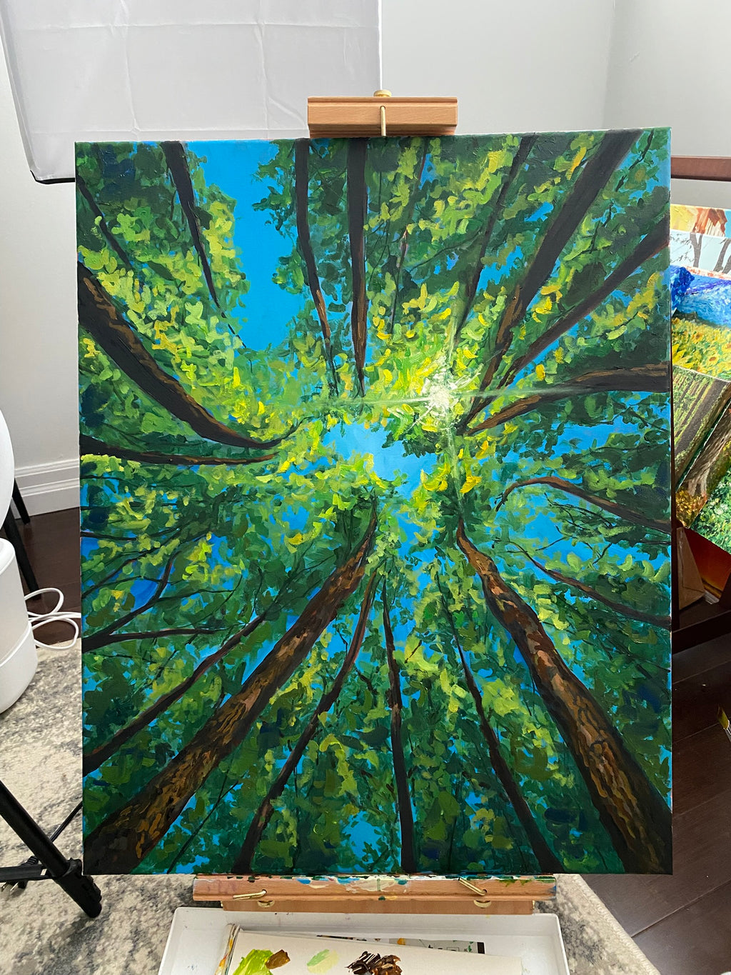 Under the Sunny Forest Canopy - Oil Painting